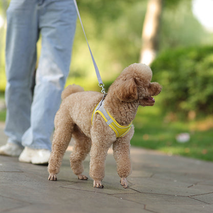 Dog Harness Leash