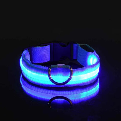 Luminous Night Safety Collar