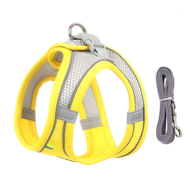 Dog Harness Leash