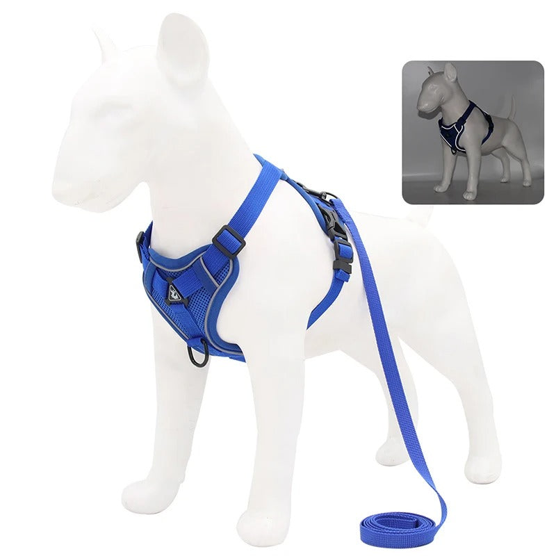 Adjustable Dog Leash