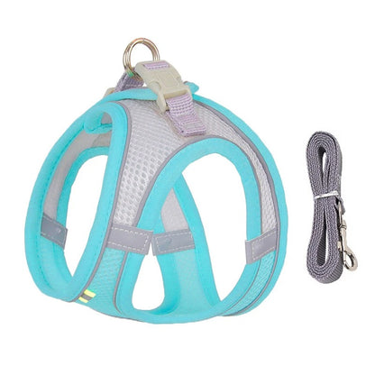 Dog Harness Leash