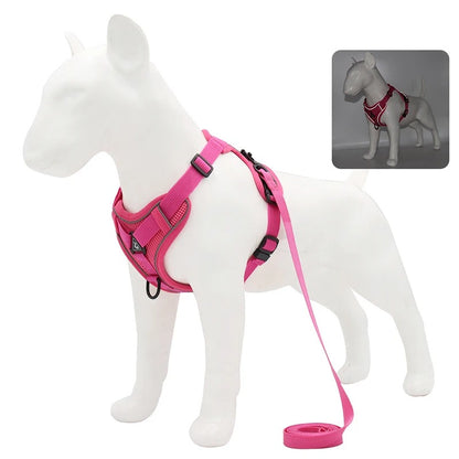 Adjustable Dog Leash