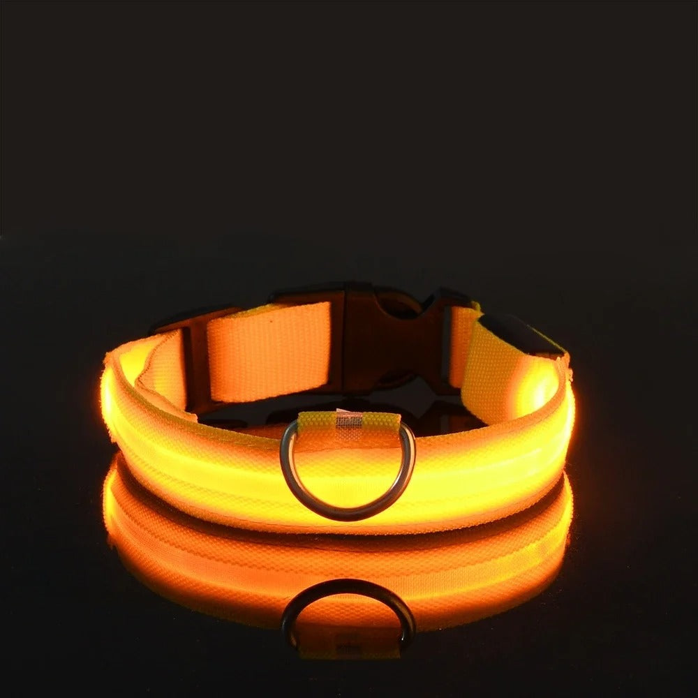 Luminous Night Safety Collar