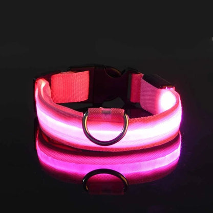 Luminous Night Safety Collar