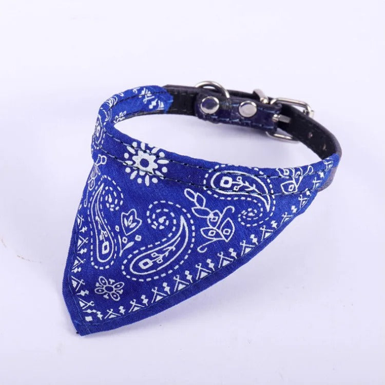 Collar Bandana