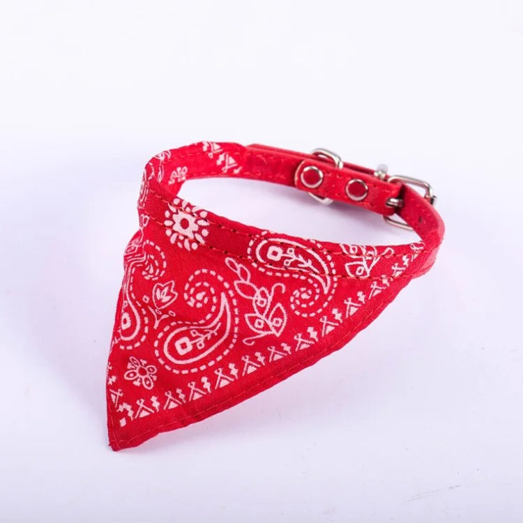 Collar Bandana