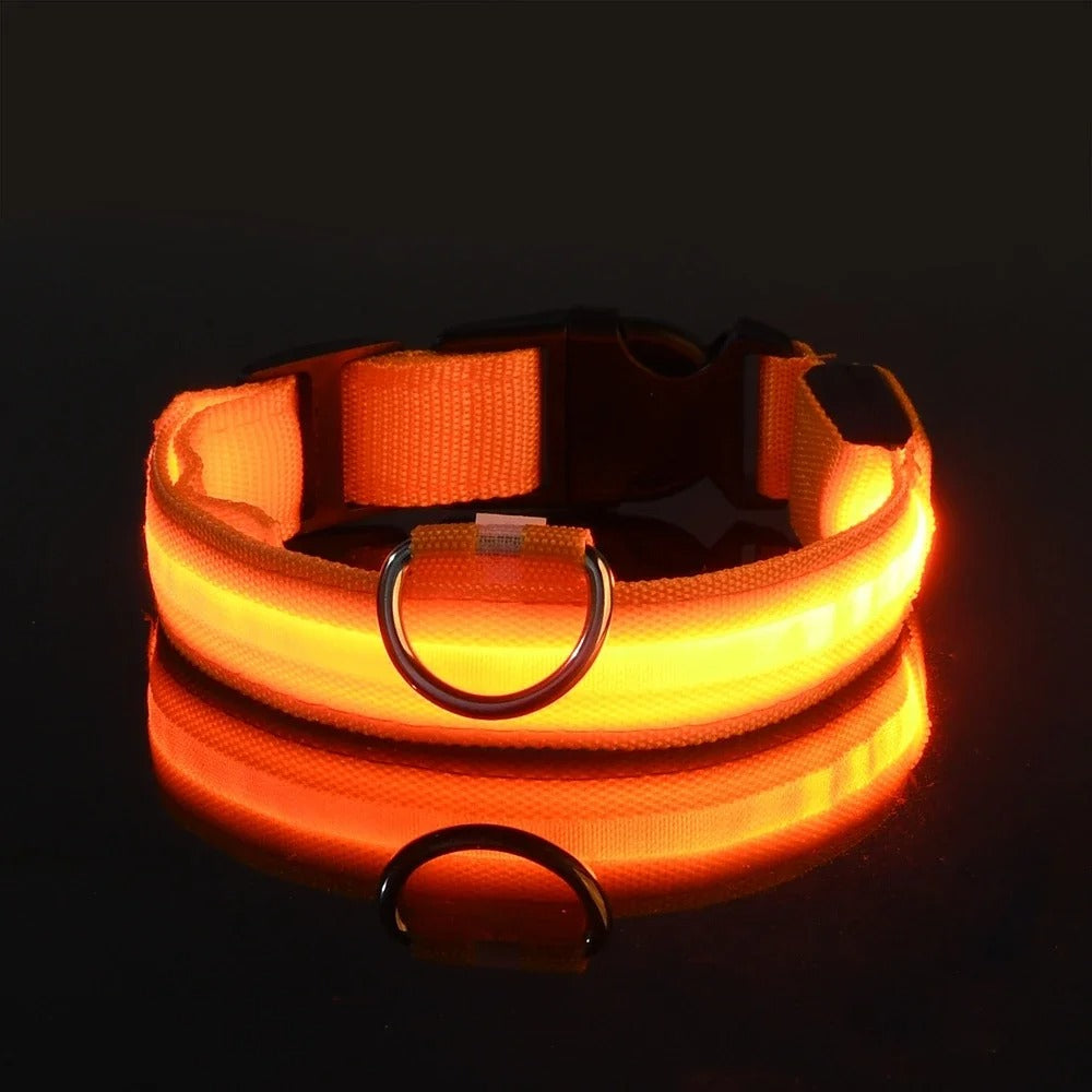 Luminous Night Safety Collar