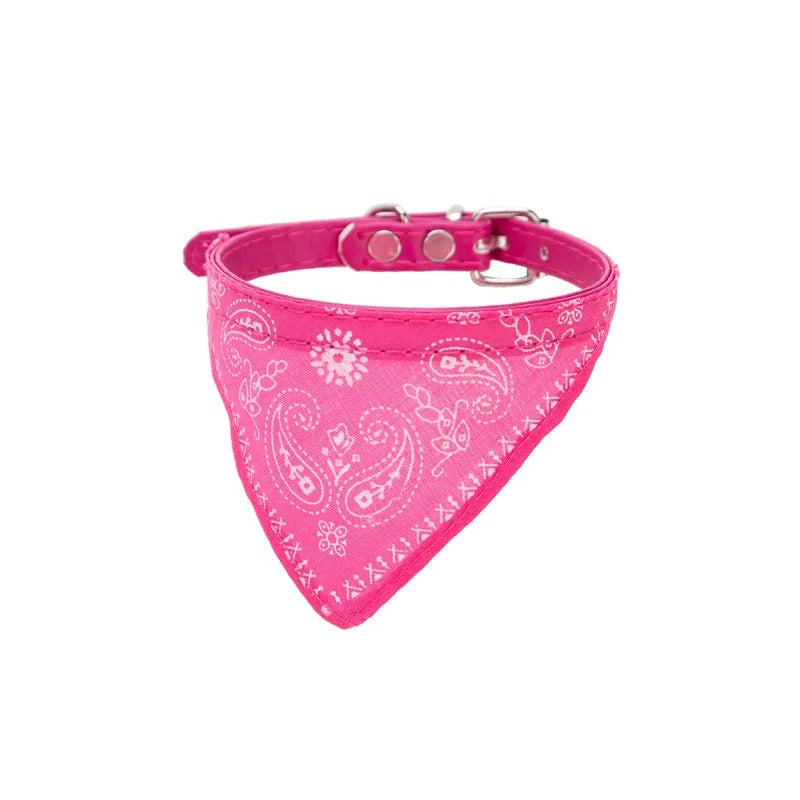 Collar Bandana