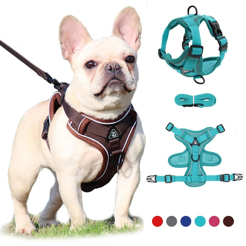 Adjustable Dog Leash