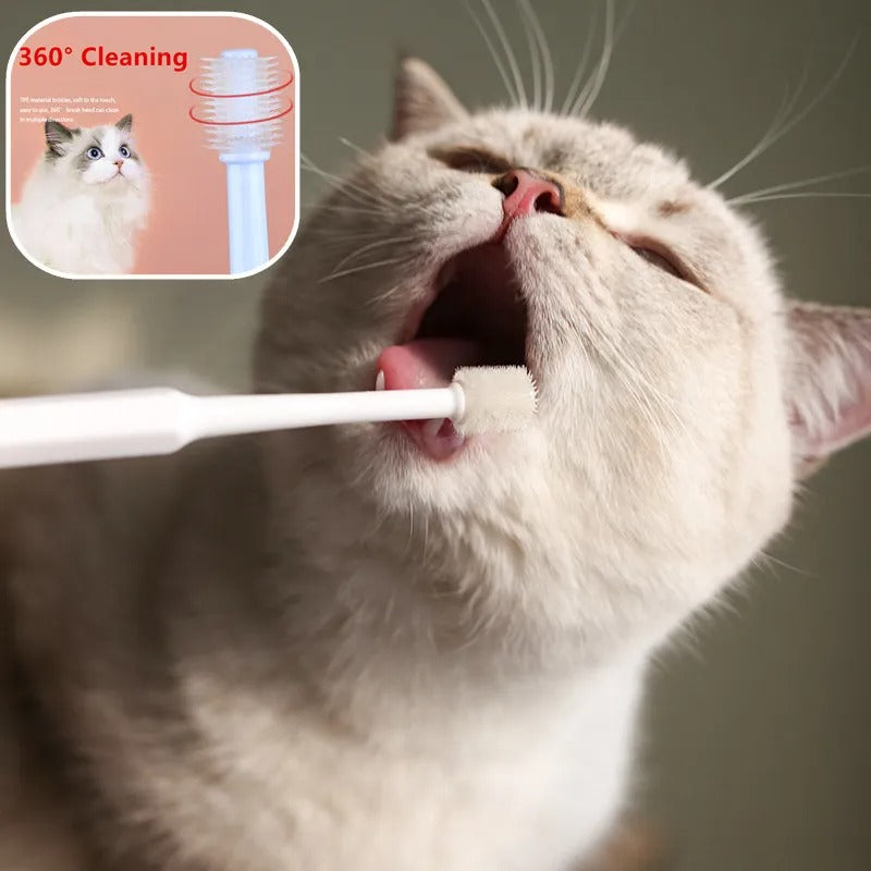 Soft Toothbrush for Cats