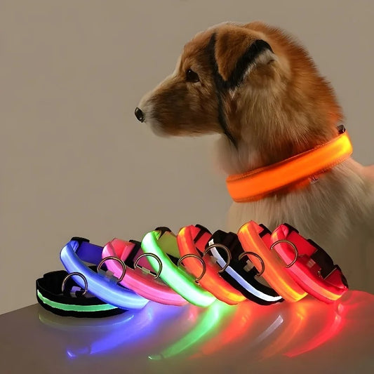 Luminous Night Safety Collar