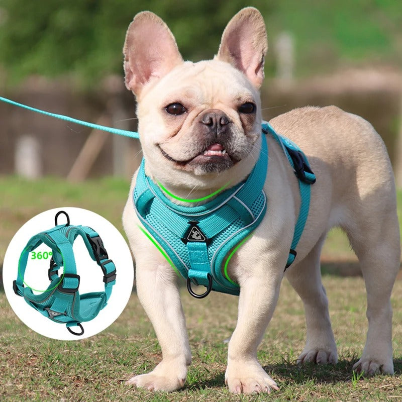 Adjustable Dog Leash