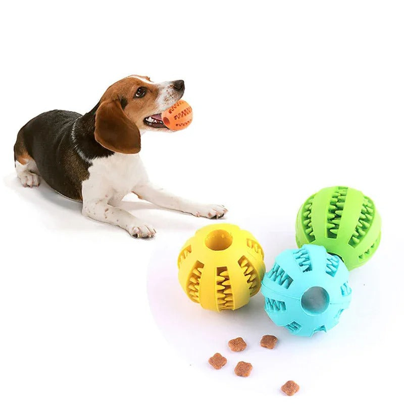 Chewing Ball Toy