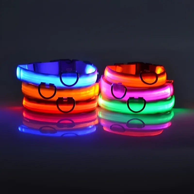 Luminous Night Safety Collar