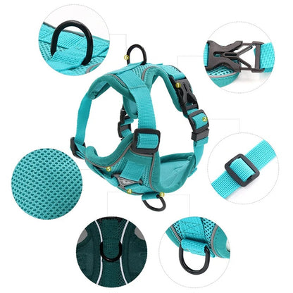 Adjustable Dog Leash