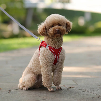 Dog Harness Leash