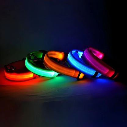 Luminous Night Safety Collar