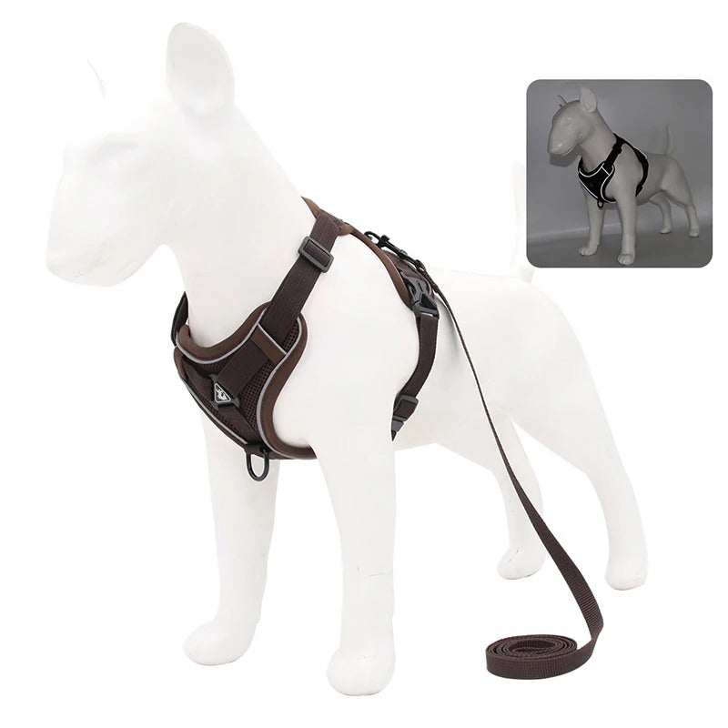 Adjustable Dog Leash