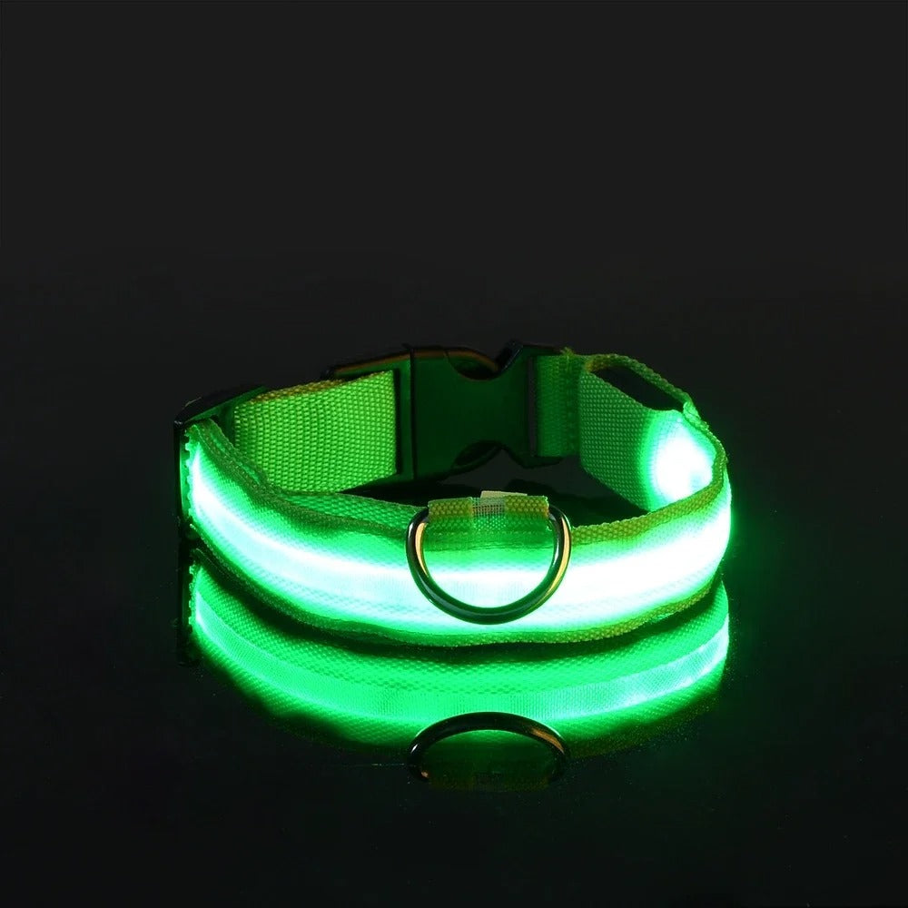 Luminous Night Safety Collar