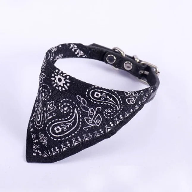 Collar Bandana