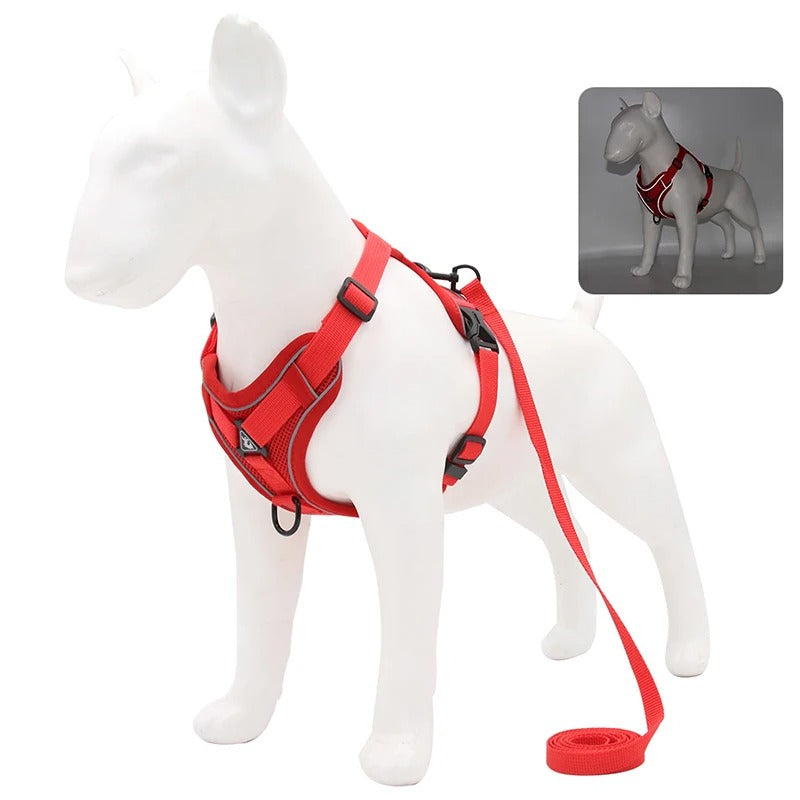 Adjustable Dog Leash