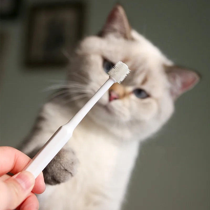 Soft Toothbrush for Cats