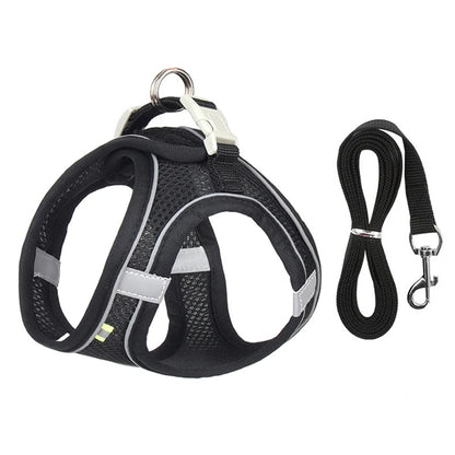 Dog Harness Leash