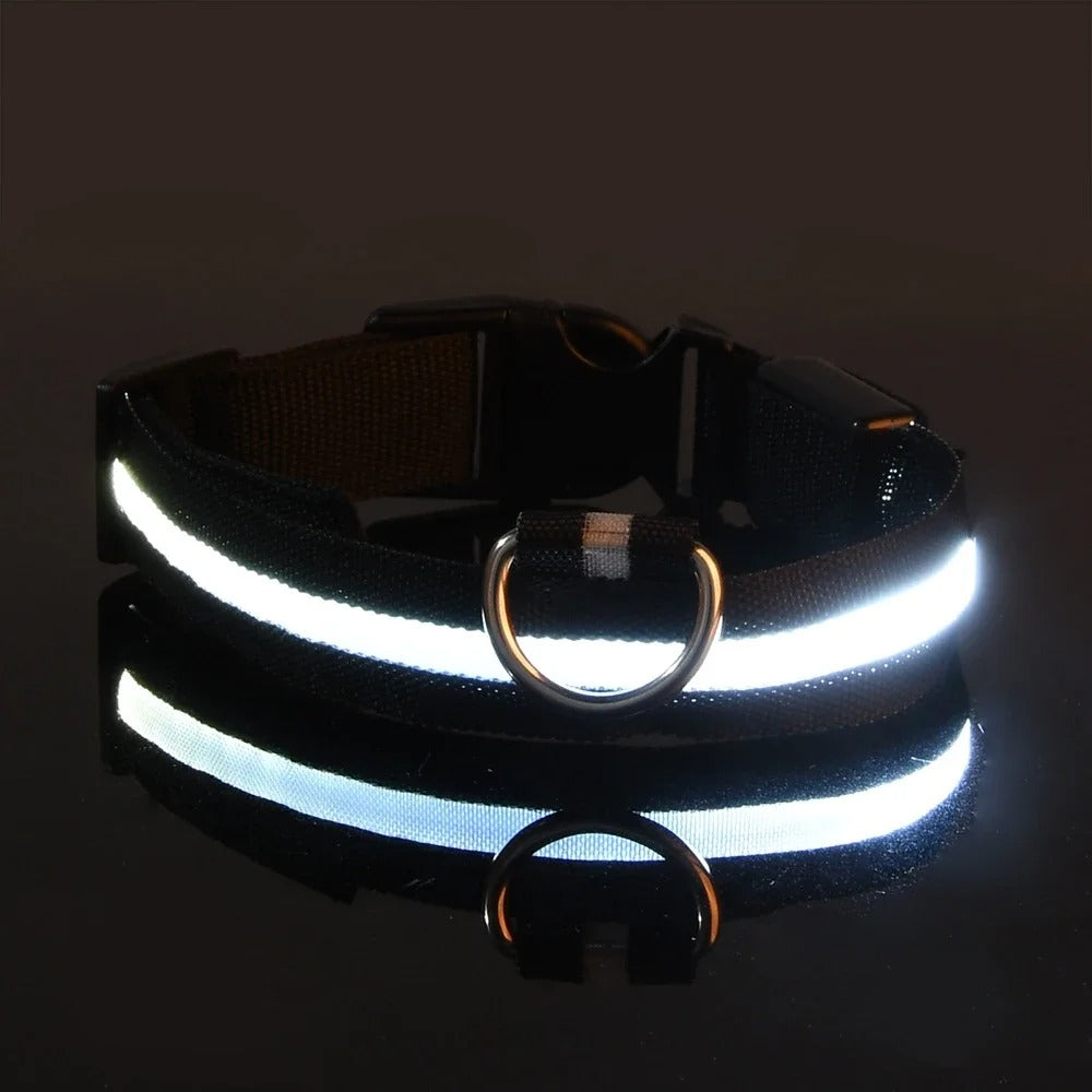 Luminous Night Safety Collar