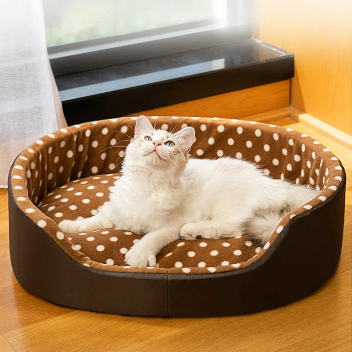 Cats Bed Dot Sponge Pad