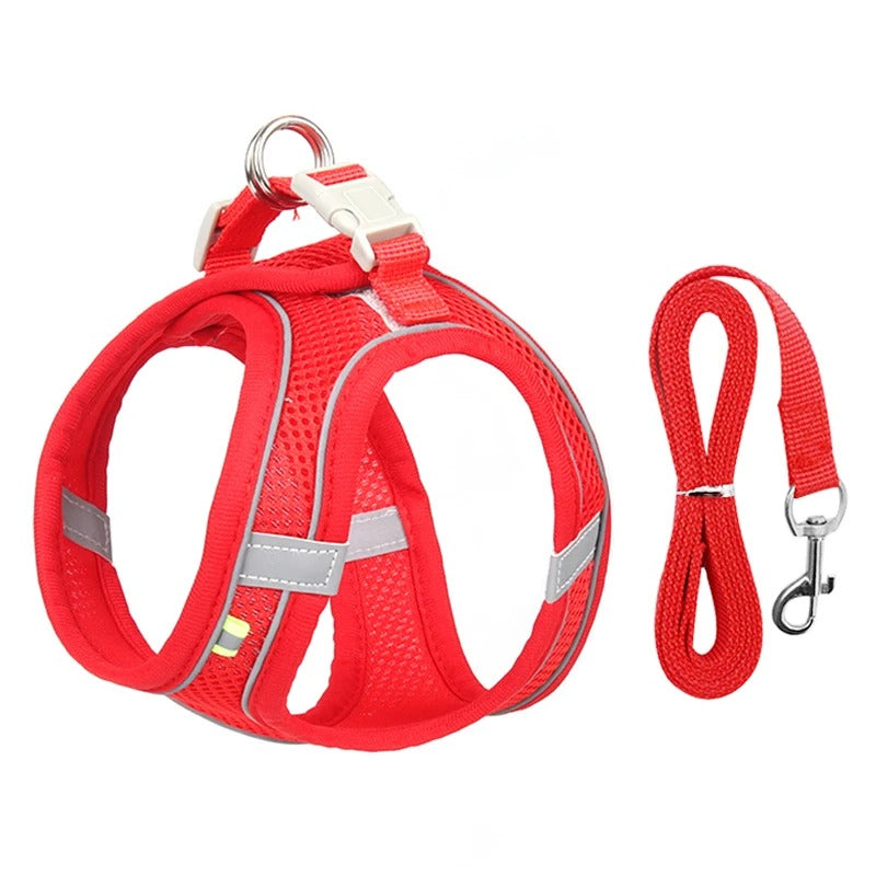 Dog Harness Leash