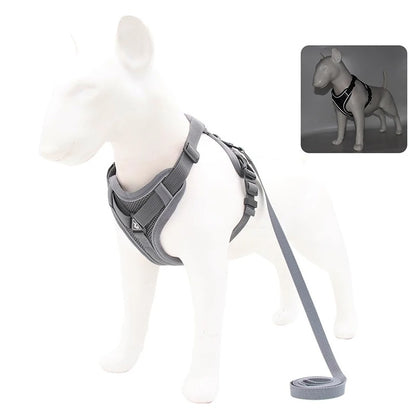 Adjustable Dog Leash